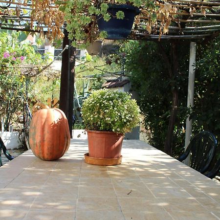Villa Marina Agios Georgios Pagon Exterior foto