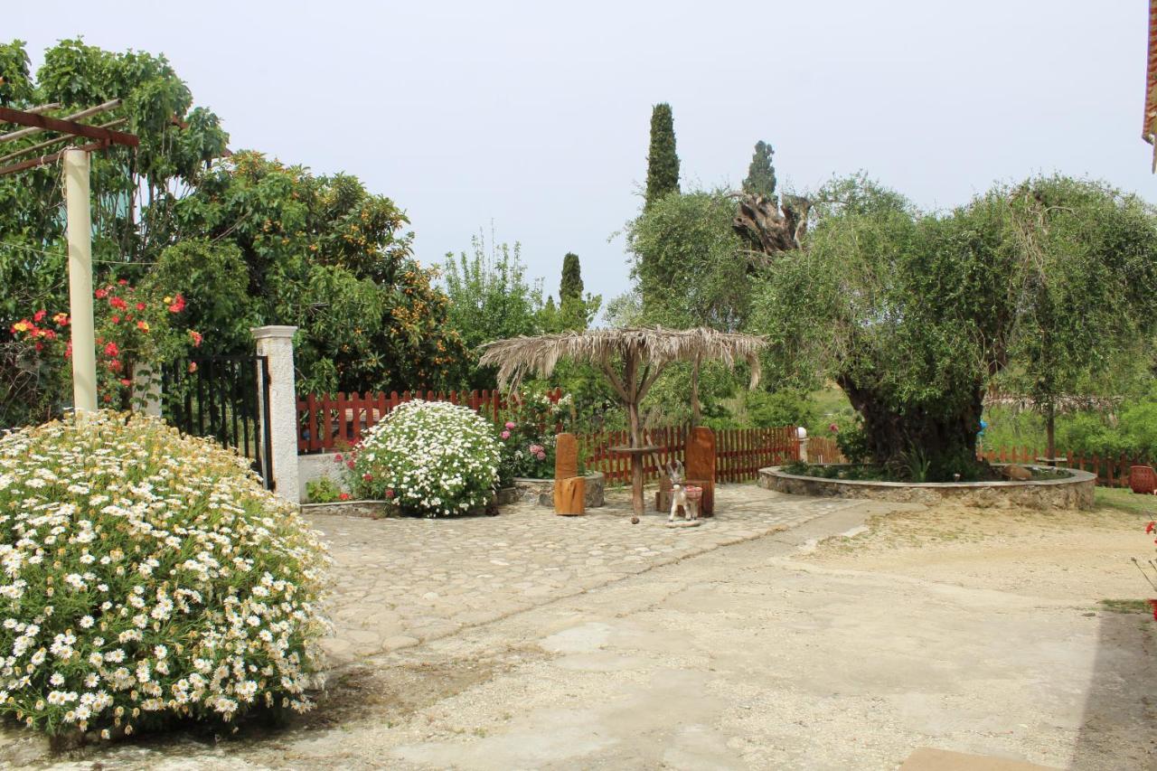 Villa Marina Agios Georgios Pagon Exterior foto