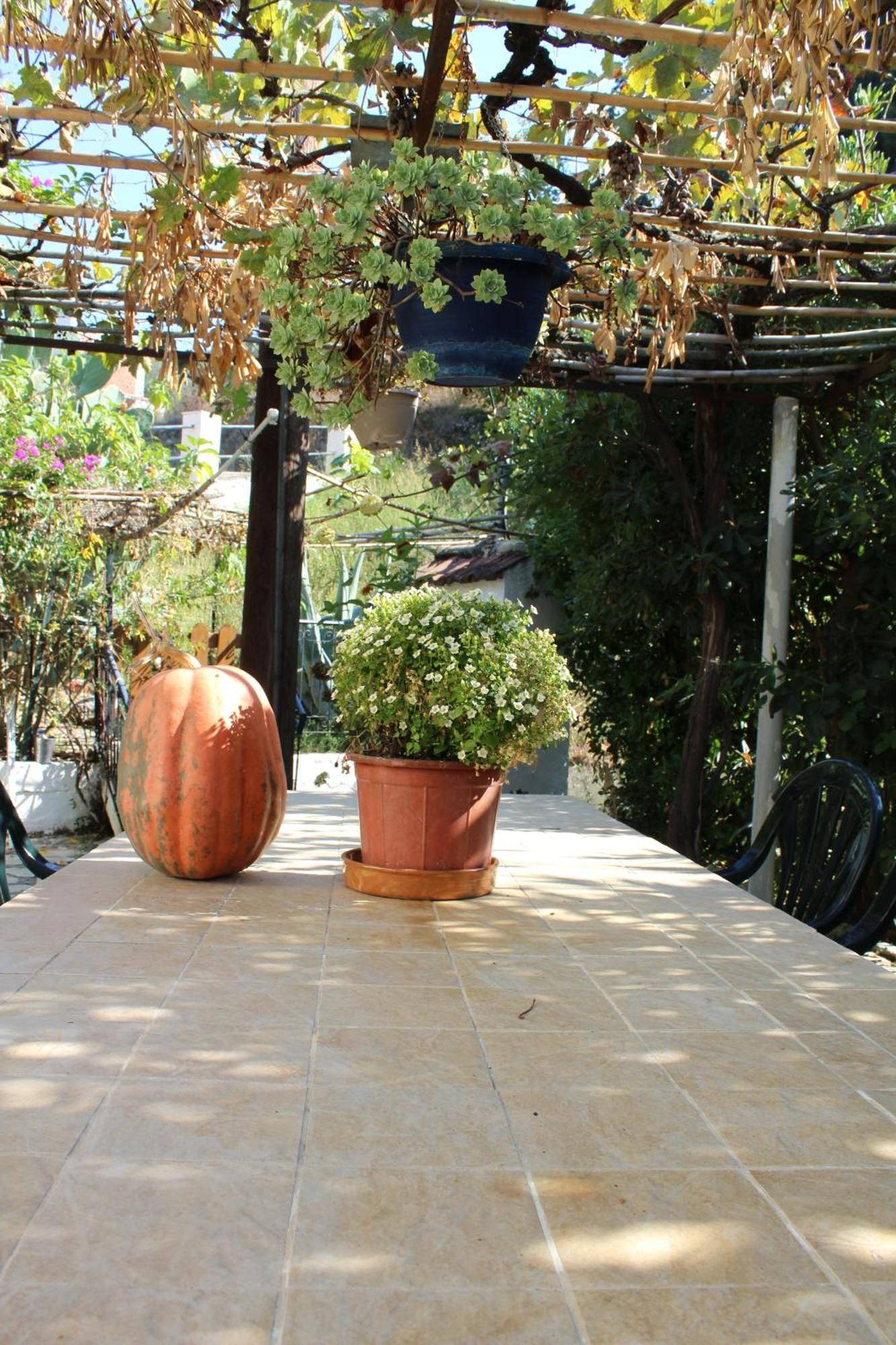 Villa Marina Agios Georgios Pagon Exterior foto