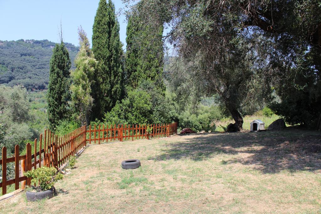 Villa Marina Agios Georgios Pagon Exterior foto